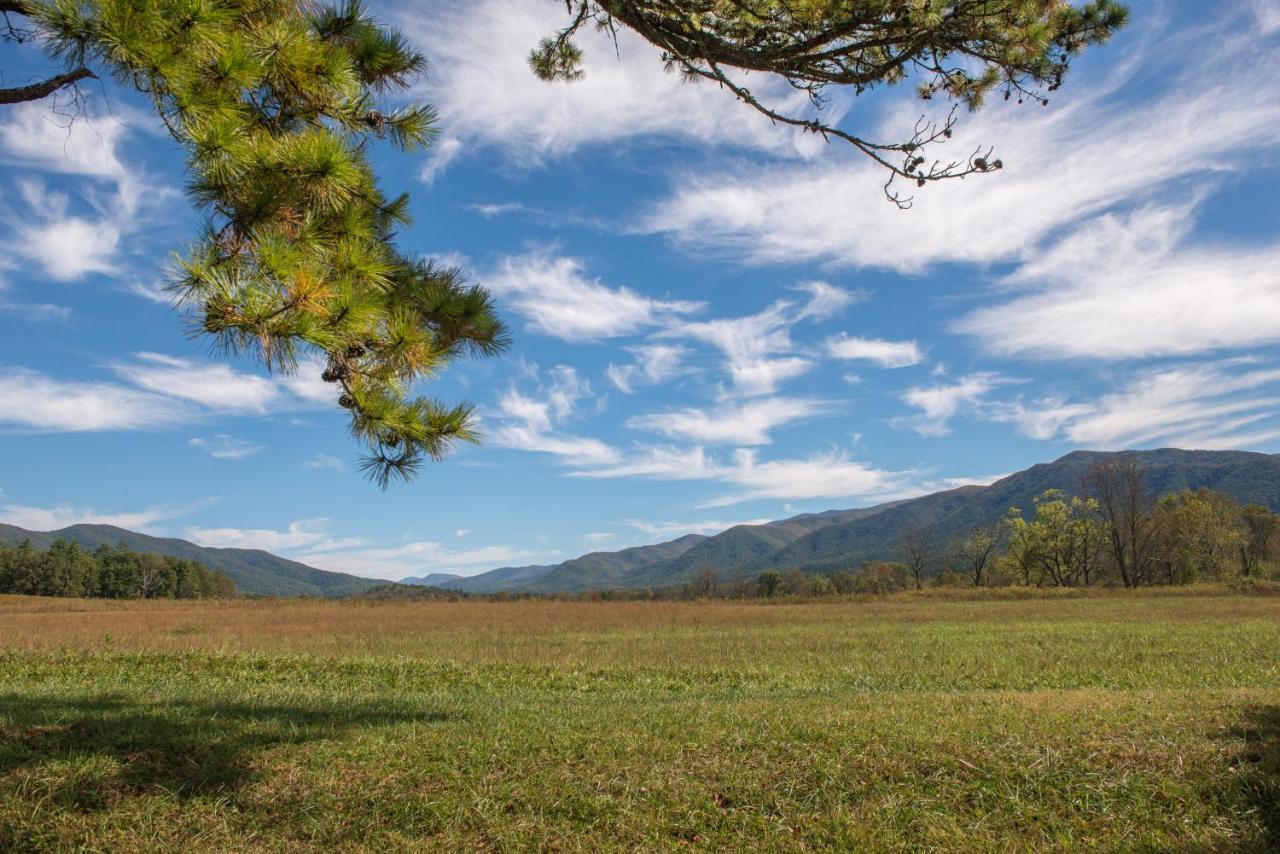 Peaceful Setting Cabin Villa Pigeon Forge Ngoại thất bức ảnh
